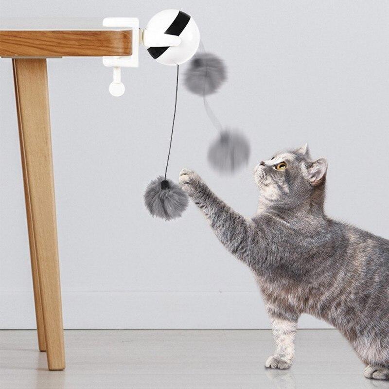 Interactive Cat Toy