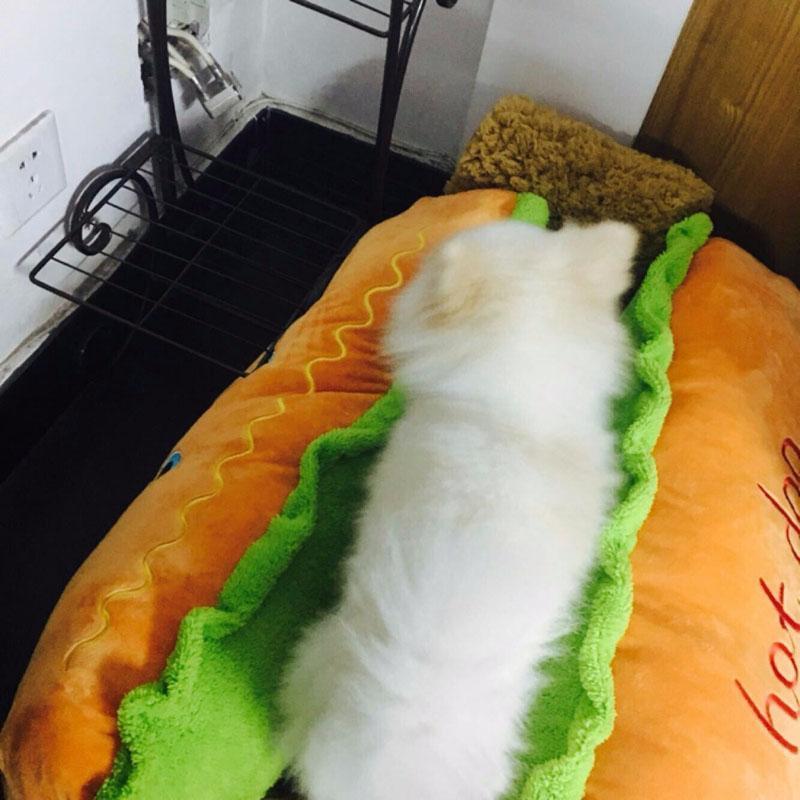 Pet Bed - Hot Dog