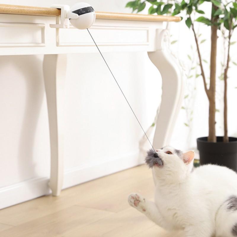 Interactive Cat Toy